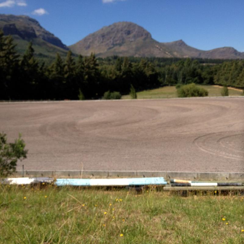 12 Bedroom Property for Sale in Paarl Western Cape
